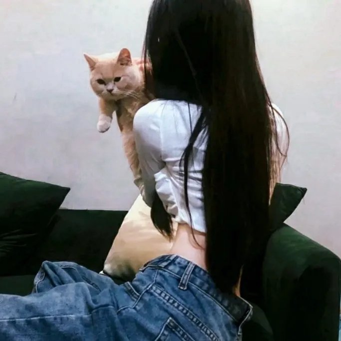 科德玛